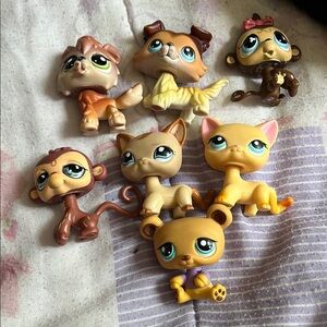 lps lot